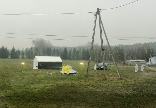 UFO wylądowało w Tarkowie Dolnym? Taki widok zaskoczył kierowców jadących drogą krajową nr 25.