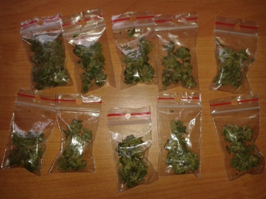 Policja z Łasku zlikwidowała plantację marihuany