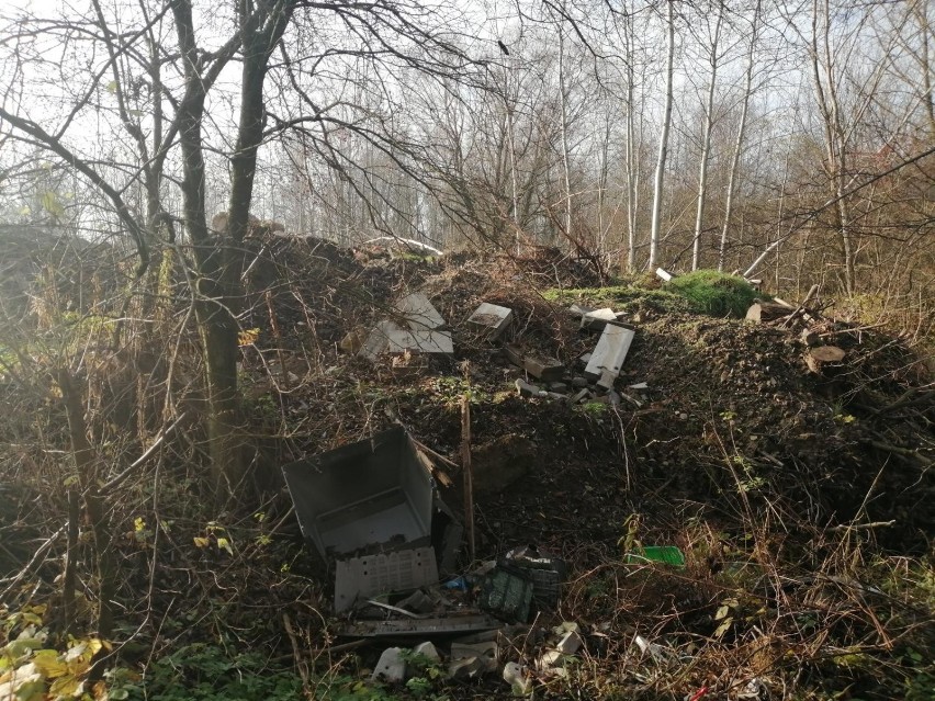 Na obrzeżach Łowicza powiększa się dzikie wysypisko śmieci [ZDJĘCIA]