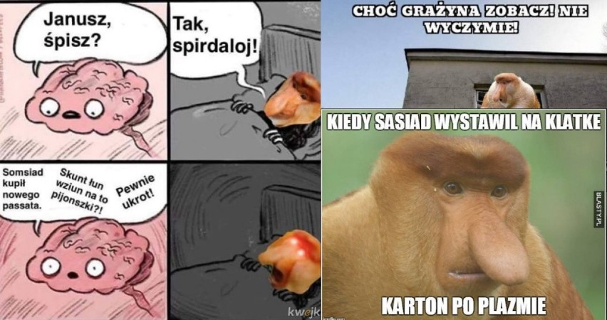 Te MEMY o sąsiadach poprawią ci humor! Czysta prawda! 