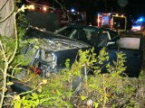 Wypadek w Smęcinie: Samochoód osobowy uderzył w drzewo. 1 osoba ranna [ZDJĘCIA]