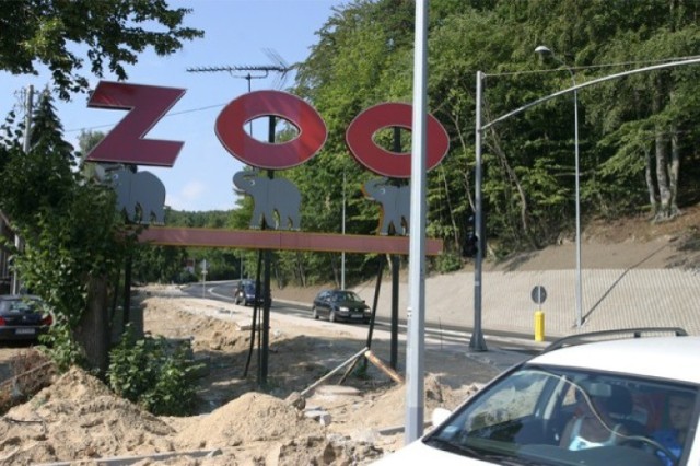 ZOO w Gdańsku organizuje bieg wśród wybiegów dziki zwierząt.