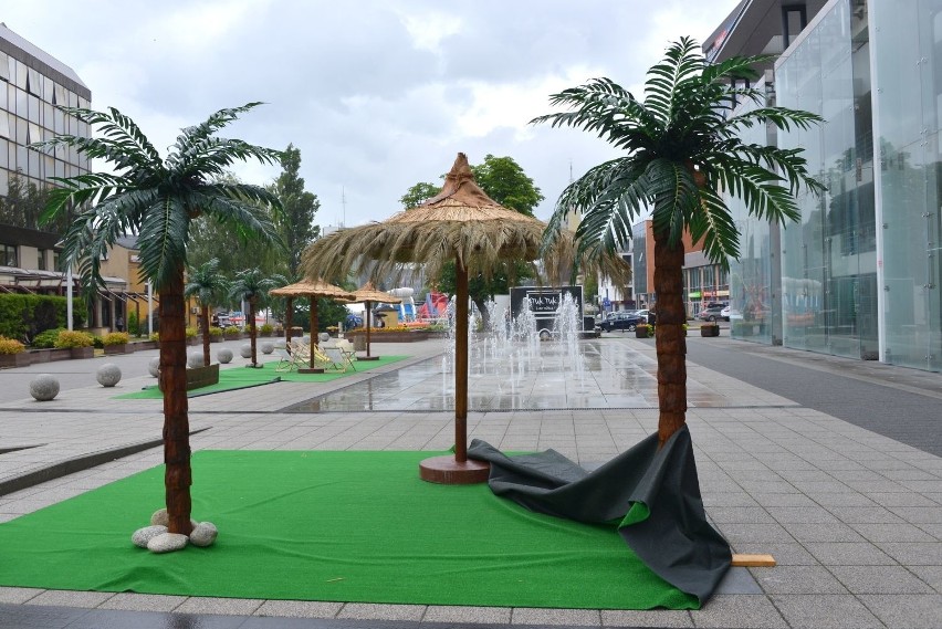 Plaża z palmami w centrum Kielc (ZDJĘCIA)