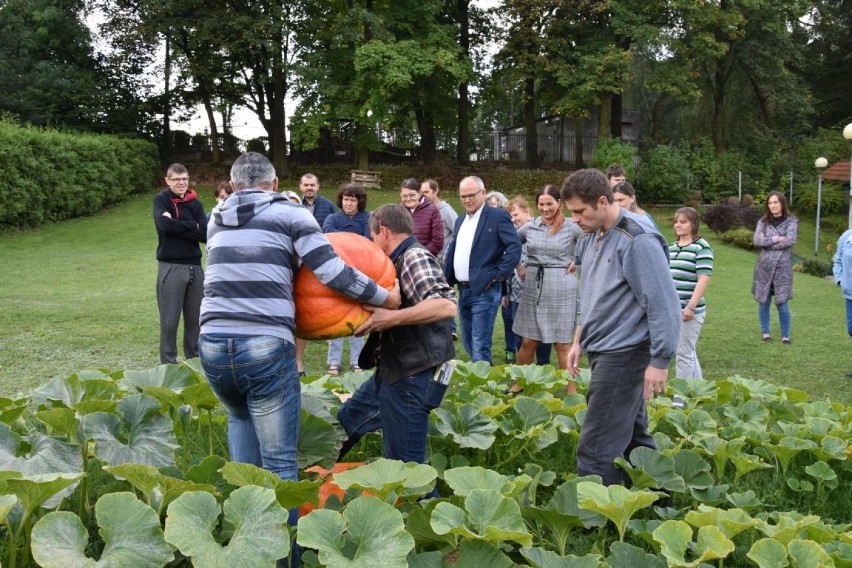 Z dyni powstają same pyszności