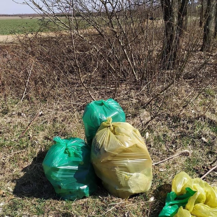 Wierzbicka grupa "Biegamy dzisiaj?" posprzątała śmieci  na terenie gminy Wierzbica. Zobacz zdjęcia