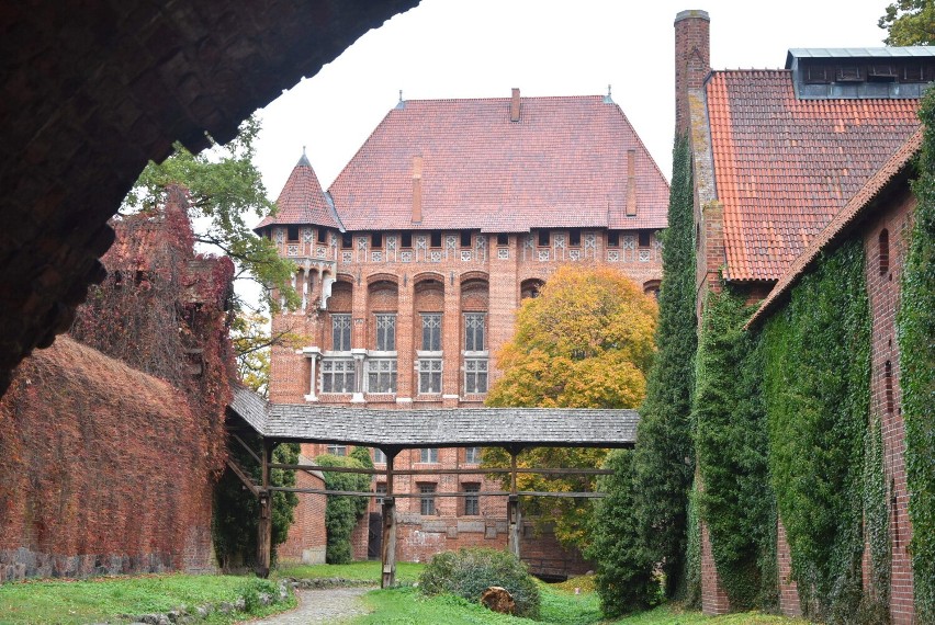 Malbork. Zamek ponownie w akcji "Darmowy Listopad" jako dawna rezydencja królów polskich 