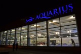 Aquarius Zabrze zaprasza na nocne pływanie z okazji Nocy Świętojańskiej