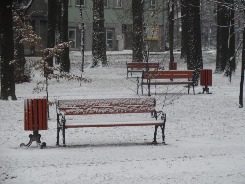 Zima w Żorach: Wybraliśmy się na krótki spacer po mieście. Prześlijcie nam swoje zdjęcia!
