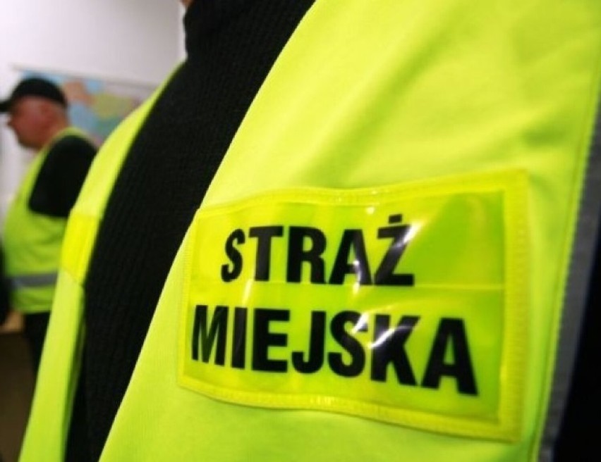 Czechowice-Dziedzice: 29-latek nie spodziewał się takiej reakcji strażników miejskich
