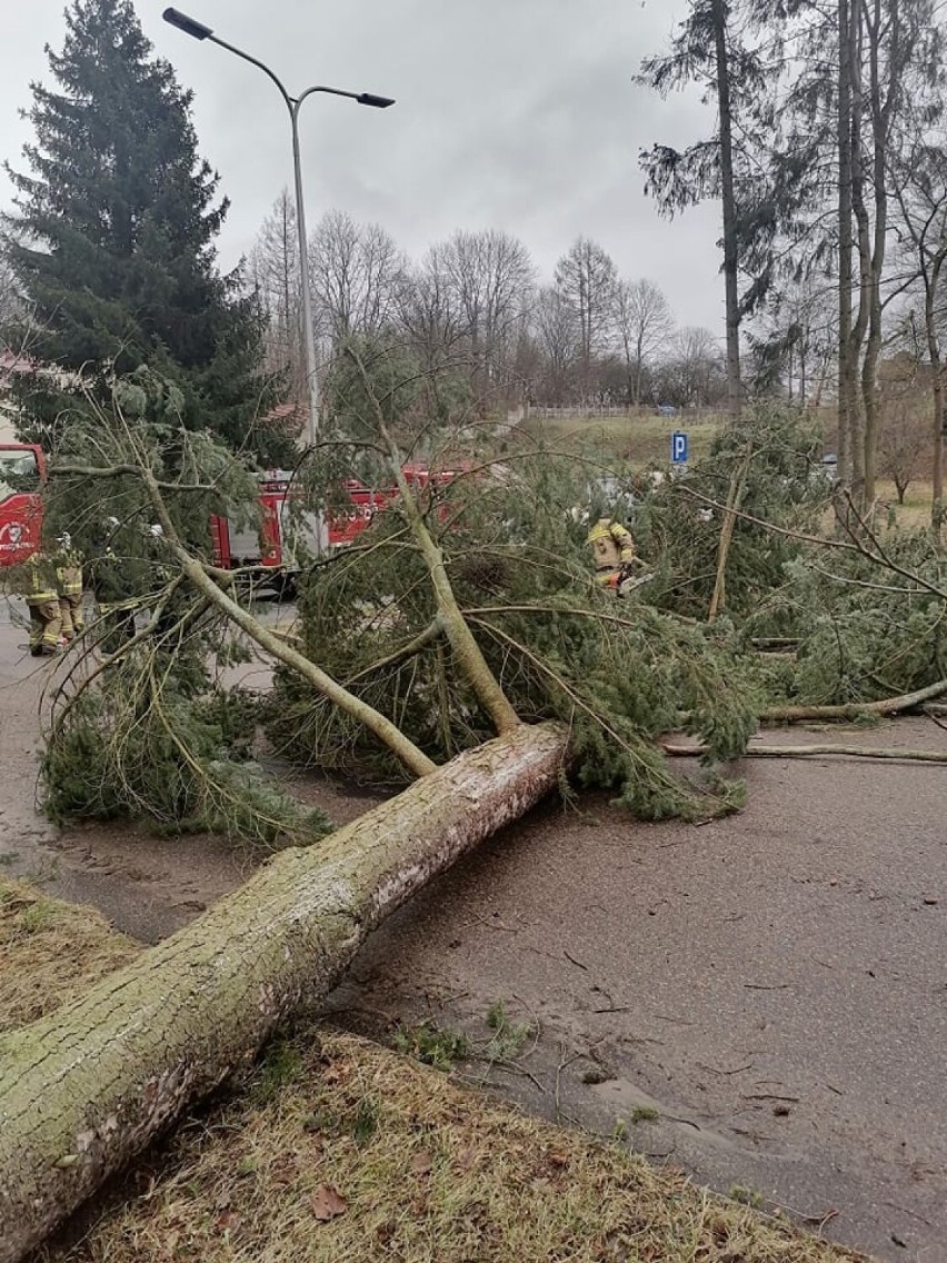 Huragan szalał nad powiatem szczecineckim. Bez prądu, łączności... [zdjęcia]