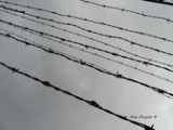 Przeprosiny za "polski nazistowski obóz pracy" w Auschwitz