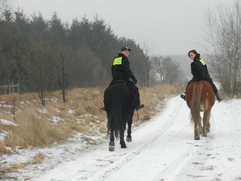Od stycznia 2013 r. koło ĆMA LOP prowadzi patrole konne na terenie gminy Czerwonak