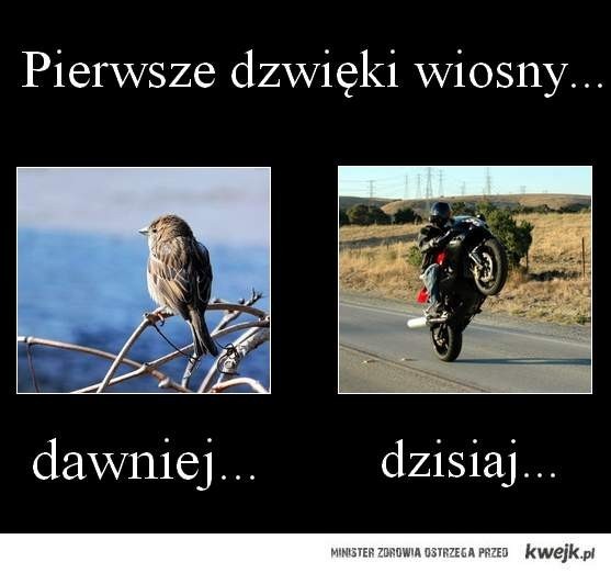 Idzie wiosna! Zobacz najśmieszniejsze memy i śmieszne obrazki [MEMY]