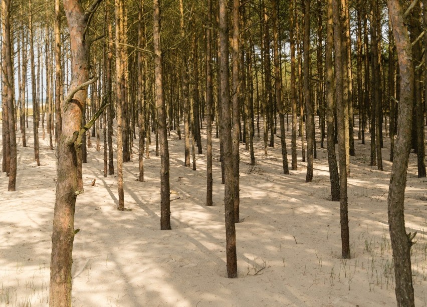 Stilo

Plaża Stilo jest położona ok. 40 km przed Łebą. Co...