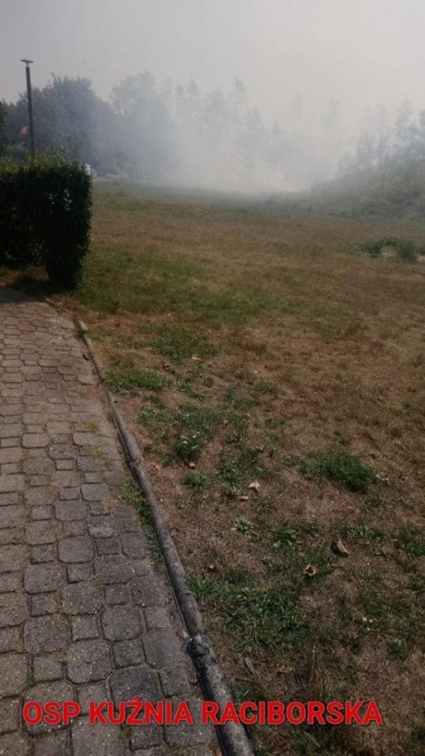 W weekend strażacy gasili dwa pożary w Kuźni Raciborskiej i...