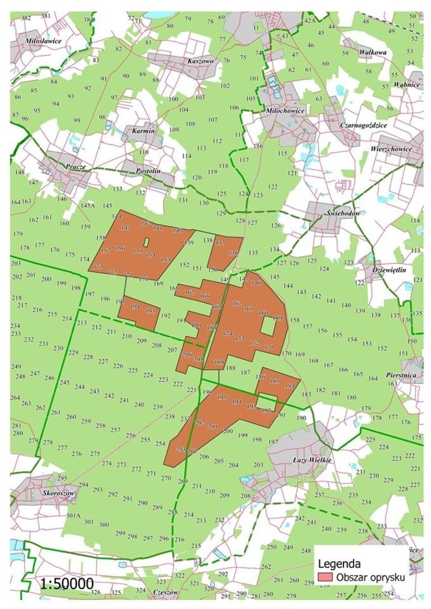 Znów będzie zakaz wstępu do lasów na Dolnym Śląsku (SPRAWDŹ, GDZIE I KIEDY)