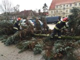 Usuwanie skutków silnych wiatrów w powiecie