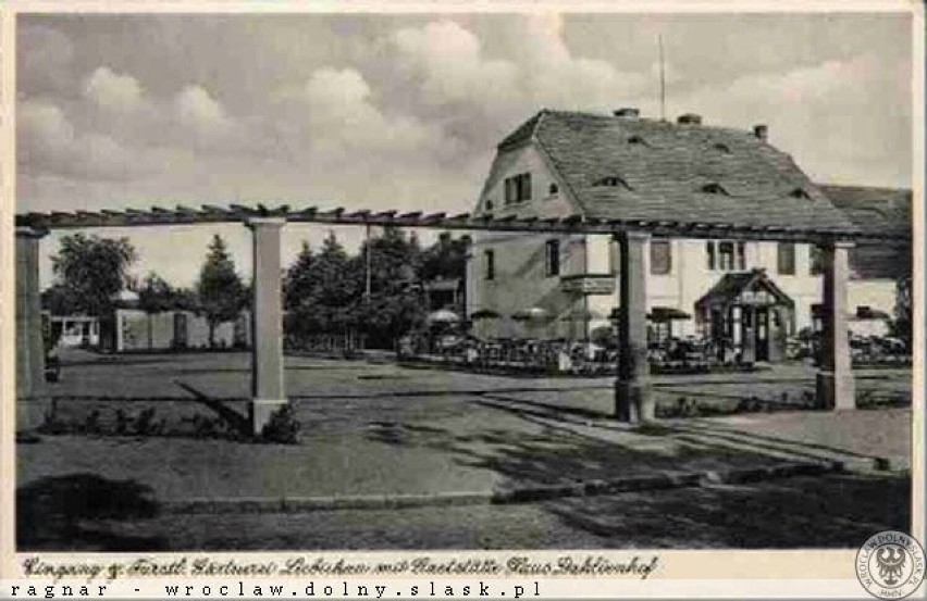 Lata 1915-1920 , Wejście do Palmiarni, widoczny budynek...
