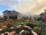 W Rywałdzie spaliła się stodoła z chlewnią [1.09.2020] 