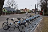 Mieszkańcy chętnie korzystają z wypożyczania miejskich rowerów 
