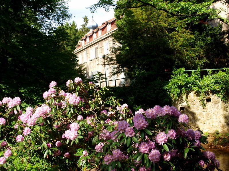 Iłowa, powiat żagański - ponad stuletni park z jedną z...