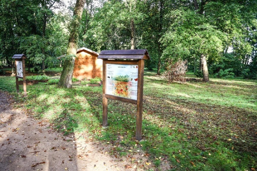 Nowi lokatorzy mini zoo w Lesznie  mają już imiona. Nadali je im mieszkańcy. 