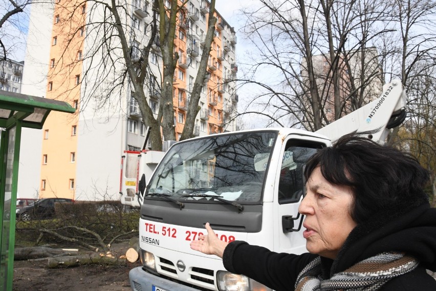 Mieszkanka Elżbieta Łozińska protestuje przeciwko wycince...