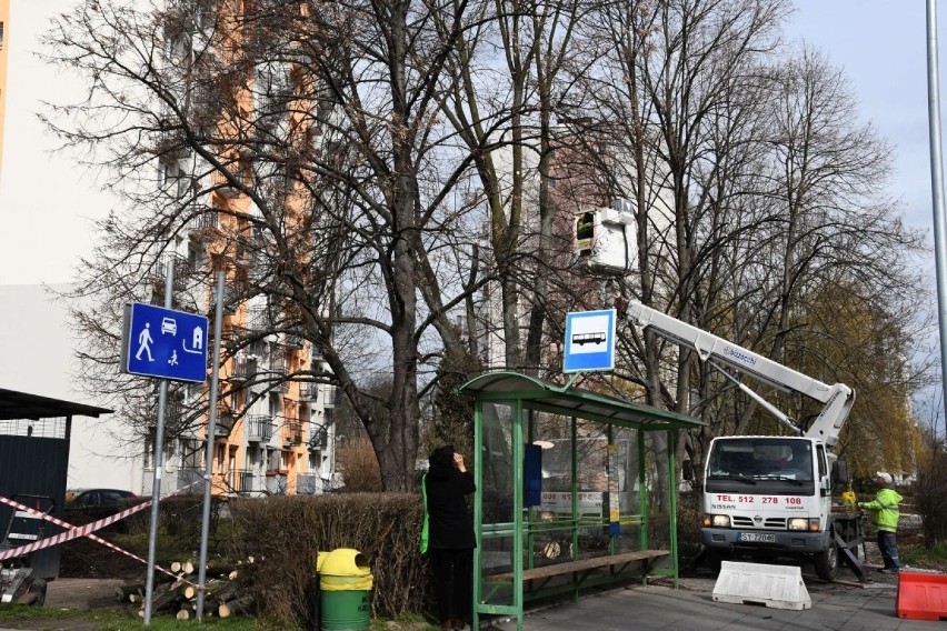 Przy ulicy Biskupa Kaczmarka w Kielcach wycięto drzewo. Mieszkańcy są oburzeni (ZDJĘCIA)