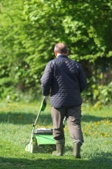 W Łodzi rozpoczęto koszenie trawników