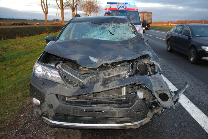 Cedry Małe/Kiezmark: Wypadek na S7. Na jezdnię wybiegł łoś, uderzył w trzy samochody [ZDJĘCIA]