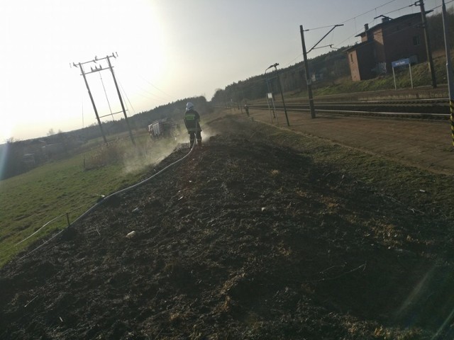 Na zdjęciach pożar trawy w Górkach Śląskich