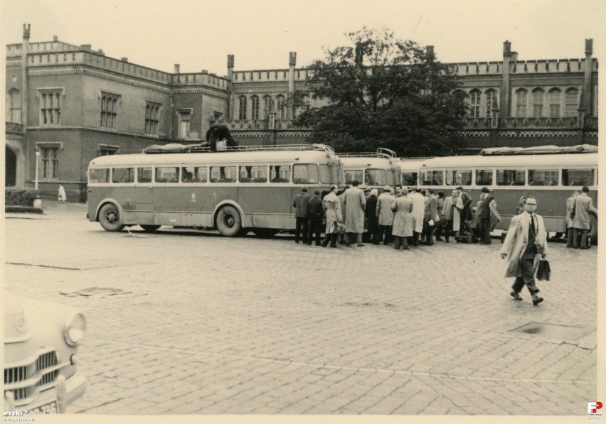 Takie autobusy jeździły kiedyś po Wrocławiu