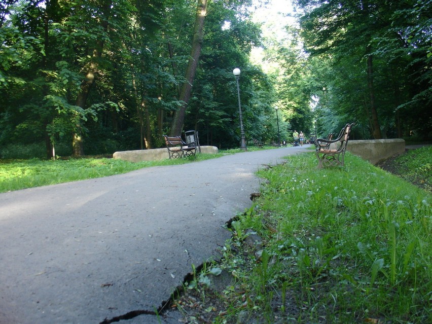 Część siedleckiego parku zwanego "Aleksandrią".