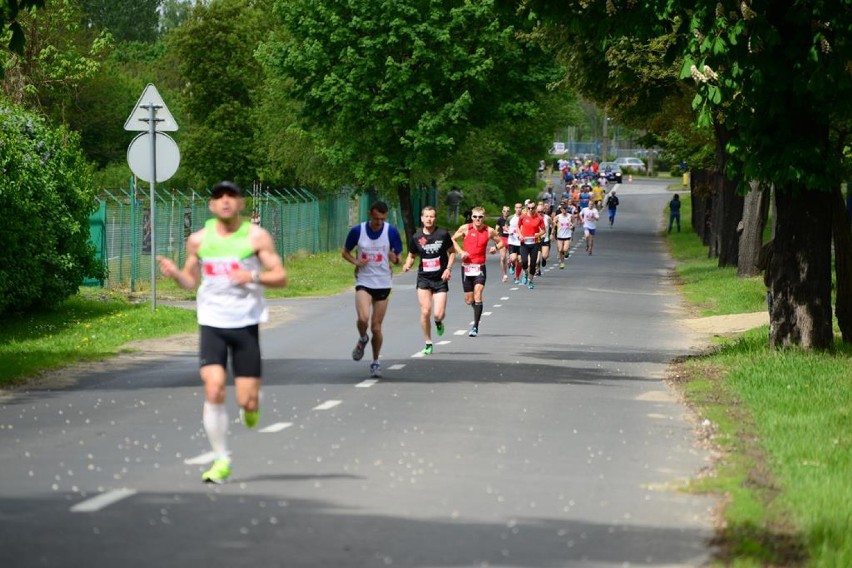 Run Toruń 2014. Ponad 1300 biegaczy na starcie [ZDJĘCIA]