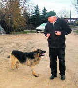 Myśliwy zastrzelił psa sąsiada, a drugiego ranił. Sprawa trafiła do prokuratury