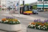 ZTM uruchamia linie autobusowe w Warszawie. W tych miejscach ich bardzo brakowało