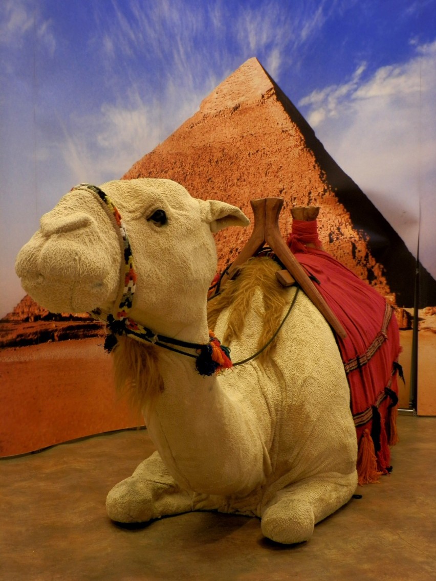 Wystawa Tajemnice Egiptu w Galerii Kaskada