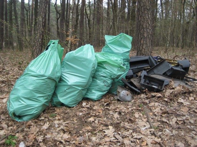 Uczestnicy akcji sprzątania Parku Poetów zebrali co najmniej kilkanaście takich ''kupek'' powstałych na skutek ludzkiej egzystencji (02.04.2011 r.)