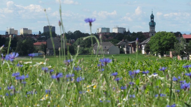 Tychy, widok z dzielnicy Czułów.