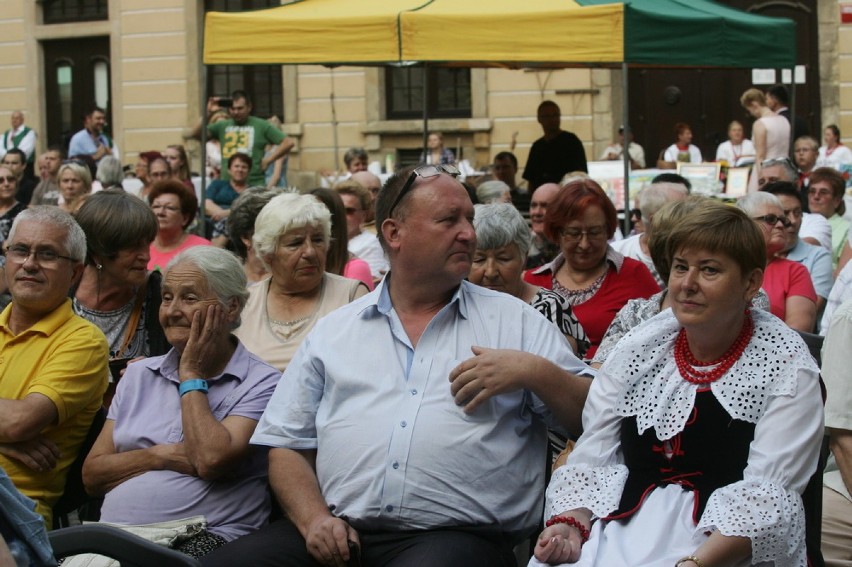 Kto siedzi na miedzi w Legnicy (ZDJĘCIA, FILM)