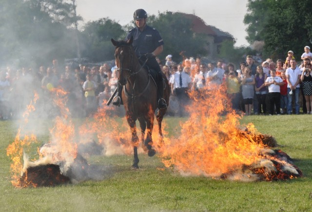 Święto Policji - festyn powiatowy "Lato z Powiatem Radomszczańskim Jedlno 2011"