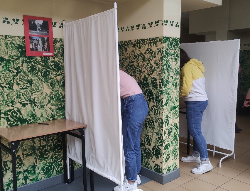 Symulacja wyborów w Garczyńskim