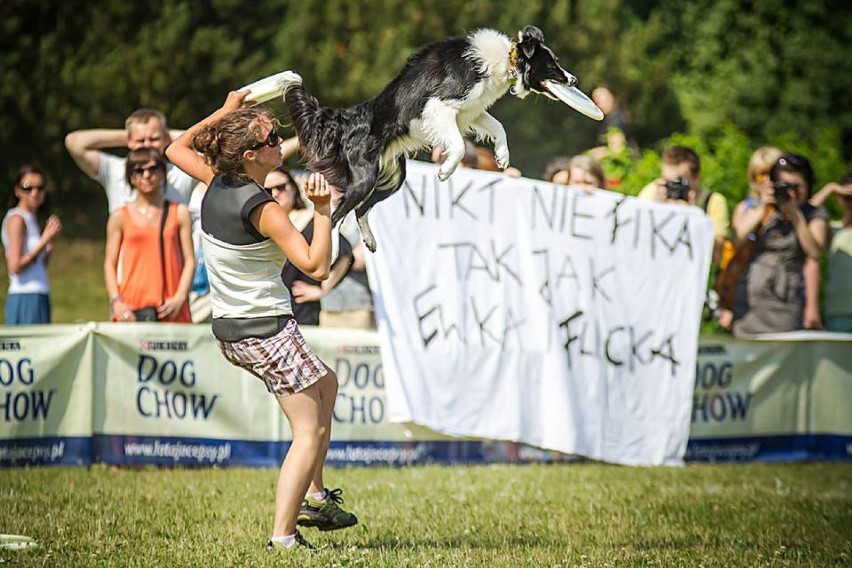 Dog Chow Disc Cup 2015 Warszawa. Zobacz, jak te psy potrafią...