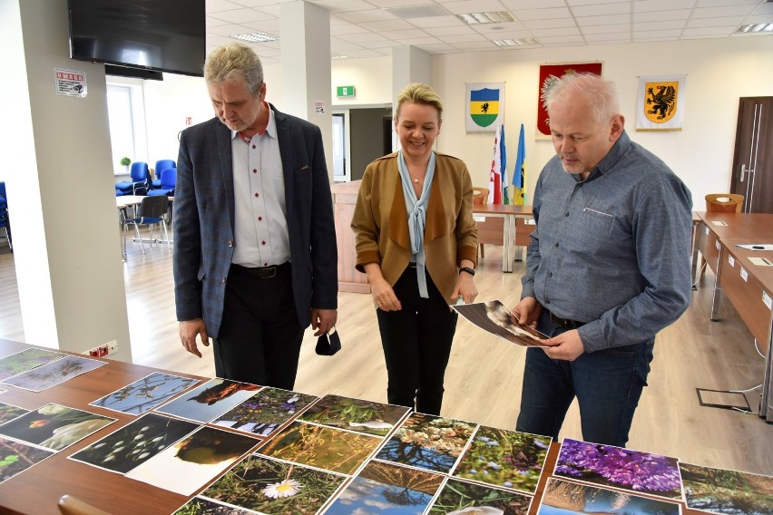 Konkurs fotograficzny „Pierwsze oznaki wiosny” rozstrzygnięty!