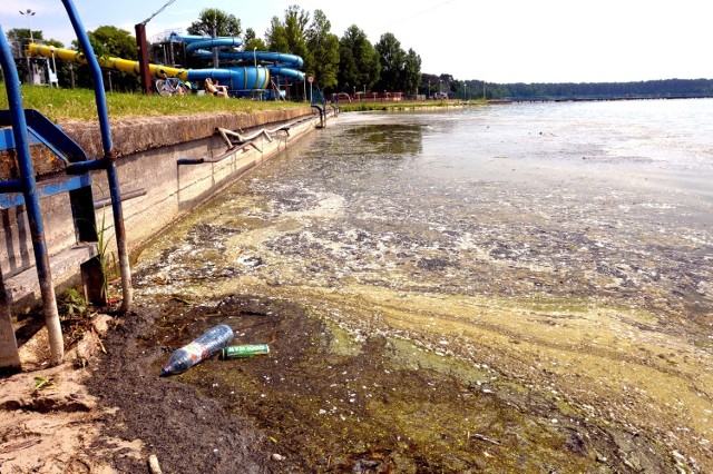 Śmieci nad Zalewem Zemborzyckim wkrótce znikną