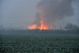 Pożar w Czempiniu – ogień wybuchł w zakładzie utylizacji odpadów (wideo) 