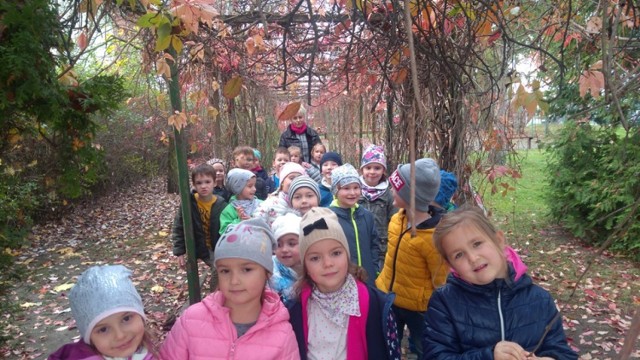 Co słychać u przedszkolaków ze Słonecznej Gromady?