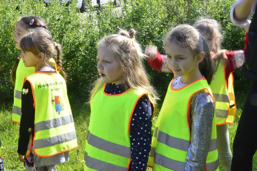 Dzieci z PP3 w Głogowie siały kwiaty dla pszczół