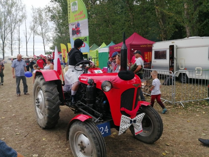 Festiwal ciągników i maszyn rolniczych - dzień II