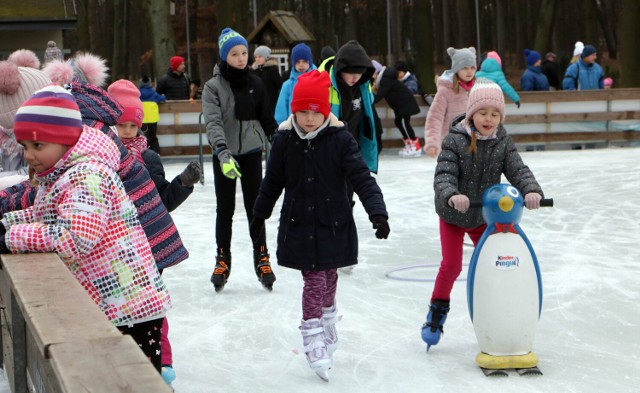 W parku miejskim w Grudziądzu czynne jest sztuczne lodowisko. Na czas ferii zimowych 2022 obniżono cenę biletów dla dzieci